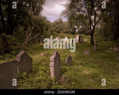 Alter jüdischer Friedhof in Lublin, Polen Stockfoto