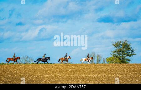 Eine Gruppe von Pferd und Pony Reiter für eine Nachmittag Hack auf einem sonnigen Herbstnachmittag Reiten gegen die Skyline Stockfoto