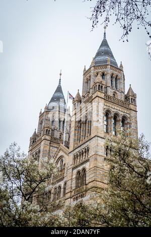 Naturkundemuseum in London Stockfoto