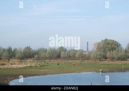 Blick auf die oude Waal in Gelderland, Holland Stockfoto