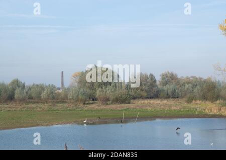 Blick auf die oude Waal in Gelderland, Holland Stockfoto
