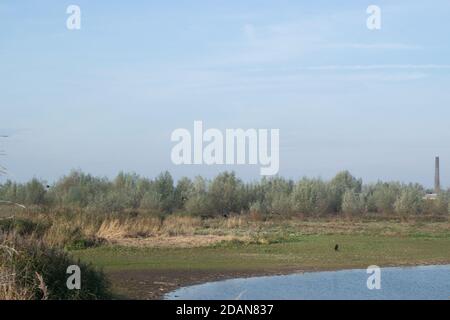Blick auf die oude Waal in Gelderland, Holland Stockfoto