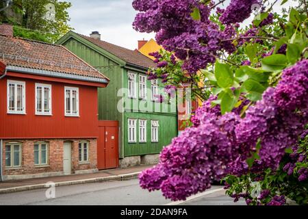 Bunte traditionelle Häuser in oslo Stockfoto