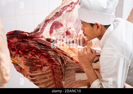 Fleischindustrie, Metzger schneiden rohes Fleisch hängen im Kühlhaus. Cattles geschnitten und gehängt an Haken in Schlachthof, Wagyu Beef Stockfoto