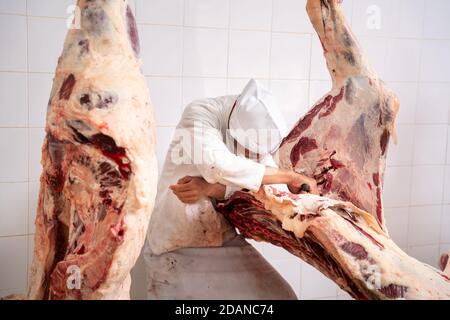 Fleischindustrie, Metzger schneiden rohes Fleisch hängen im Kühlhaus. Cattles geschnitten und gehängt an Haken in Schlachthof, Wagyu Beef Stockfoto