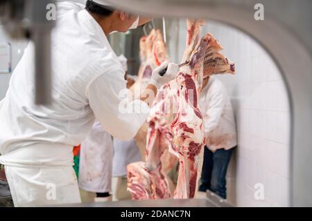 Fleischindustrie, Metzger schneiden rohes Fleisch hängen im Kühlhaus. Cattles geschnitten und gehängt an Haken in Schlachthof, Wagyu Beef Stockfoto