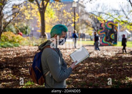 Washington, USA. November 2020. Ein Mann wartet in der Schlange, um auf COVID-19 an einem Teststandort in Washington, DC, USA, getestet zu werden, 13. November 2020. Kredit: Ting Shen/Xinhua/Alamy Live Nachrichten Stockfoto