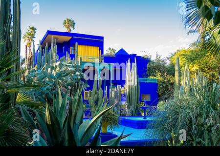 Lebendiges blaues Gebäude und Garten mit Kaptus und exotischen Pflanzen. Majorelle Garten. Konzept von Reisen und Architektur. Marrakesch, Marokko Stockfoto