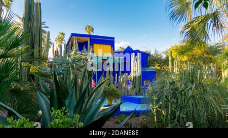 Lebendiges blaues Gebäude und Garten mit Kaptus und exotischen Pflanzen. Majorelle Garten. Konzept von Reisen und Architektur. Marrakesch, Marokko Stockfoto