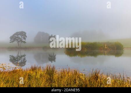 Nebliger Morgen und Reflexionen auf dem Upper Pond im Petworth Park, West Sussex, Großbritannien