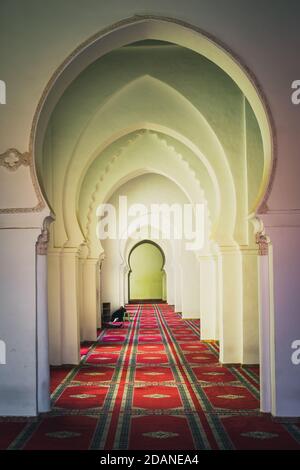 Langer Korridor mit verschiedenen Arten von Bögen in Moulay el Yazid Moschee. Islam und Religion Konzept. Marrakesch, Marokko Stockfoto