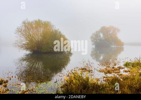 Nebliger Morgen über dem Upper Pond im Petworth Park, West Sussex, Großbritannien