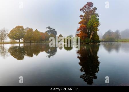 Spiegelungen von Bäumen am Upper Pond im Petworth Park, West Sussex, Großbritannien