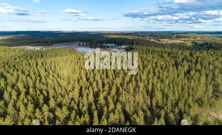 Luftaufnahme des europäischen Taiga-Waldes bei Eiszeit Esker, wächst vor allem Pinien ( pinus sylvestris ) und Fernansicht der Baumschule , Finnland Stockfoto