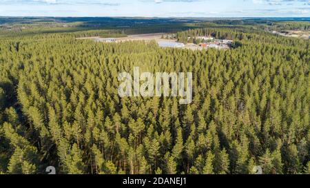 Luftaufnahme des europäischen Taiga-Waldes bei Eiszeit Esker, wächst vor allem Pinien ( pinus sylvestris ) und Fernansicht der Baumschule , Finnland Stockfoto