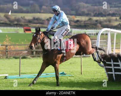 James Joseph Slevin an Bord von Druids Altar auf dem Weg zum Gewinn der Osprey Hotel 3-Y-O Hürde während des Punchestown Winter Festival 2020 auf der Punchestown Racecourse, County Kildare, Irland. Stockfoto