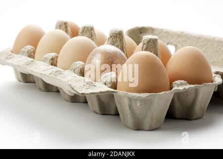 Nahaufnahme von Eiern auf weißem Hintergrund Stockfoto