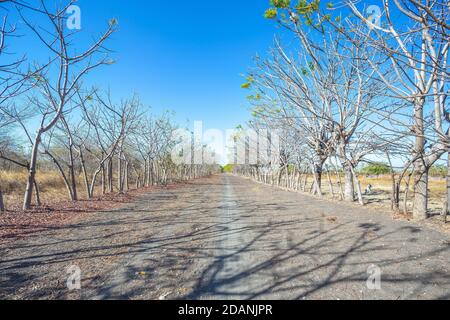 Ein langer Weg in sumba Insel, indonesien Stockfoto