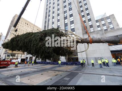 New York, Usa. November 2020. Der Weihnachtsbaum des Rockefeller Center wird mit einem Kran an seinen Platz gehoben, als er am Samstag, dem 14. November 2020, am Rockefeller Plaza in New York City ankommt. In diesem Jahr ist die 75 Meter hohe Norway Fichte aus Oneonta, NY, Foto von John Angelillo/UPI Quelle: UPI/Alamy Live News Stockfoto