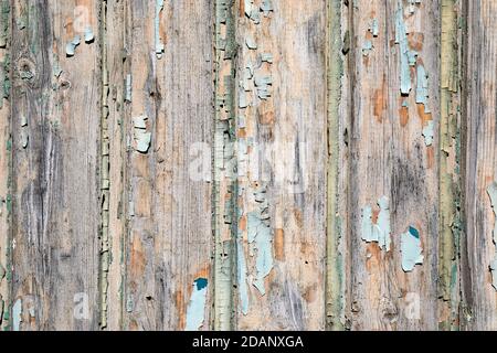 Risse im Lack auf eine alte Holzwand Stockfoto