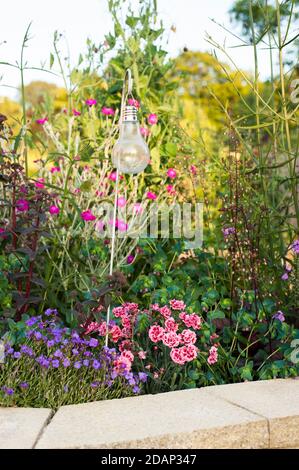 Dianthus 'Sugar Plum' (Duft erste Serie), Rosa ‘SSugar Plum wächst in einem gemischten, Cottage Garten Blumenbeet Stockfoto