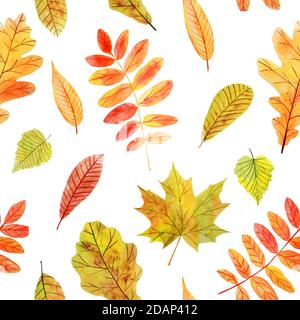Bunte nahtlose Muster mit Aquarell Herbstlaub auf weißem Hintergrund. Stockfoto