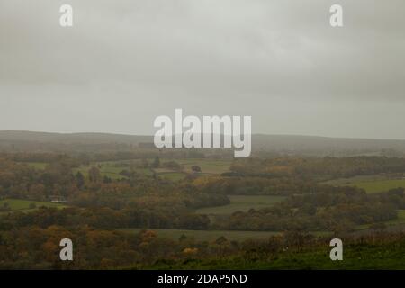 Eine malerische Aussicht von Denbies Hillside, Misty, Surrey Hills, England, Großbritannien, Herbst 2020 Stockfoto