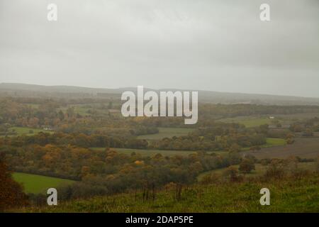 Eine malerische Aussicht von Denbies Hillside, Misty, Surrey Hills, England, Großbritannien, Herbst 2020 Stockfoto