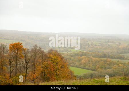 Eine malerische Aussicht von Denbies Hillside, Misty, Surrey Hills, England, Großbritannien, Herbst 2020 Stockfoto