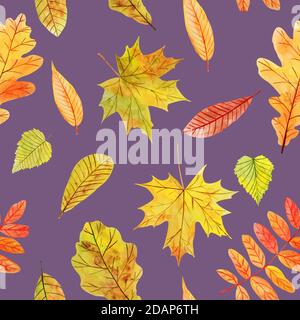 Buntes Nahtloses Muster mit wasserfarbenen Herbstblättern auf violettem Hintergrund. Stockfoto