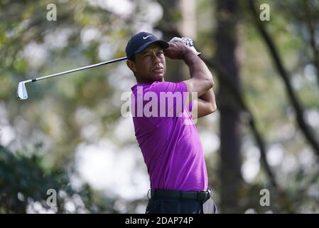 Augusta, Usa. November 2020. Tiger Woods beobachtet seinen Schuss auf das vierte Loch während der dritten Runde des Masters 2020 Golfturnier im Augusta National Golf Club in Augusta, Georgia am Samstag, 14. November 2020. Foto von Kevin Dietsch/UPI Kredit: UPI/Alamy Live News Stockfoto