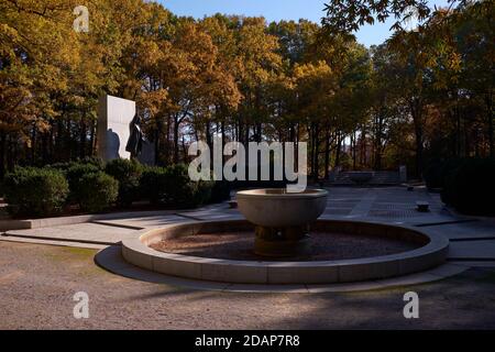 Die Statue von Präsident Theodore Roosevelt im Herbst, Herbst. Am Theodore Roosevelt Park im Potomac Fluss zwischen Washington DC und Virginia. Stockfoto