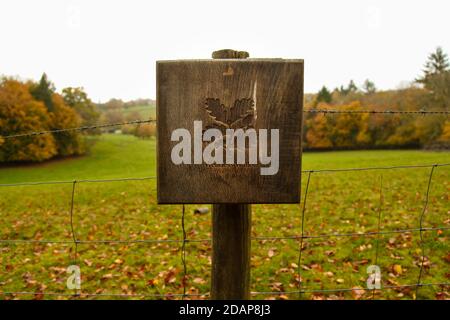 Polesdon Lacey Wellness Walks Zeichen auf Ranmore Common Walk, Surrey Hills, England, UK, Herbst, November 2020 Stockfoto