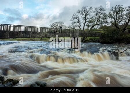 Familie mit Kindern über die Fußgängerbrücke bei Linton Falls Wasserfall, Grassington mit dem Fluss Wharfe in voller Höhe, Yorkshire Dales National Park Stockfoto