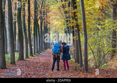 Paar beim Lesen der Karte beim Spaziergang entlang Waldweg im Herbst Wald mit Herbstfarben Stockfoto
