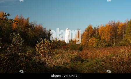 Sutton Manor Woods, Heimat der Dream Sculpture und früher das Zuhause der Sutton Manor Colliery, St Helens, Merseyside Stockfoto