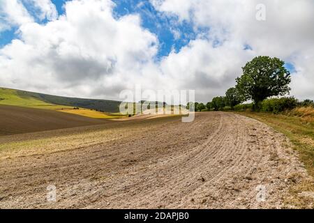 Ein Wanderweg entlang Ackerland, in den South Downs in Sussex Stockfoto