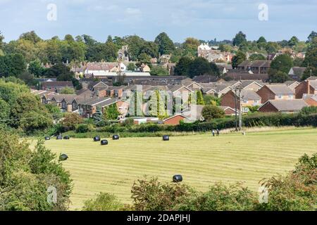 Blick auf die Stadt über Felder, Faringdon, Oxfordshire, England, Großbritannien Stockfoto