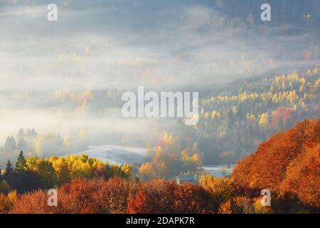 Der Rasen wird von den Sonnenstrahlen erleuchtet. Majestätische ländliche Herbstlandschaft. Fantastische Landschaft mit Morgennebel. Grüne Wiesen im Frost. Malerisches Reso Stockfoto