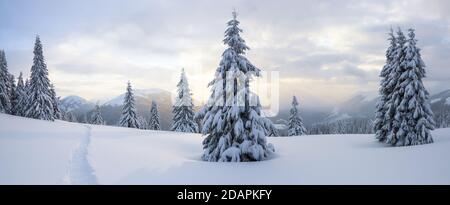 Winterlandschaft. Spektakuläres Panorama ist auf Berge, Bäume mit weißem Schnee, Rasen und blauen Himmel mit Wolken bedeckt geöffnet. Stockfoto