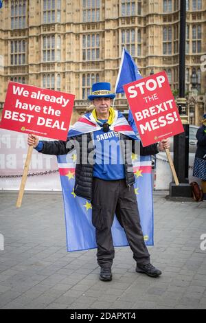 GROSSBRITANNIEN / England /der Anti-Brexit-Kämpfer Steve Bray hält am 29. Januar 2019 in London Plakate vor dem Parlament. Stockfoto