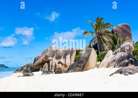 Kokospalmen (Cocos nucifera) und Felsen am Strand Source d'Argent, La Digue Island, Seychellen Stockfoto