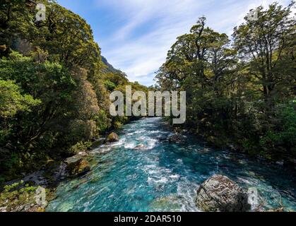 Hollyford River, Whakatipu Ka Tuka, Fiordland National Park, Te Anau, Southland, South Island, Neuseeland Stockfoto