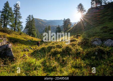 Wanderer auf dem Funtenseetauern-Wanderweg, Nationalpark Berchtesgaden, Berchtesgadener Land, Oberbayern, Bayern Stockfoto