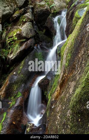 Schwarzwald, Gertelbach Wasserfälle, Baden-Württemberg, Deutschland Stockfoto