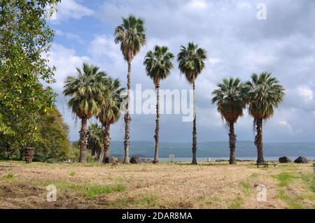 Anlage des St. Peter's Fish Restaurants Stockfoto