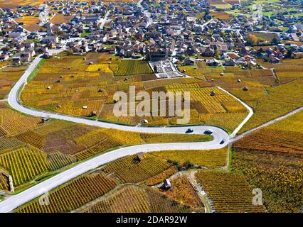 Die Haarnadelkurve einer Landstraße verläuft durch die herbstlichen Weinberge im Walliser Weinbaugebiet Leytron, Wallis, Schweiz Stockfoto