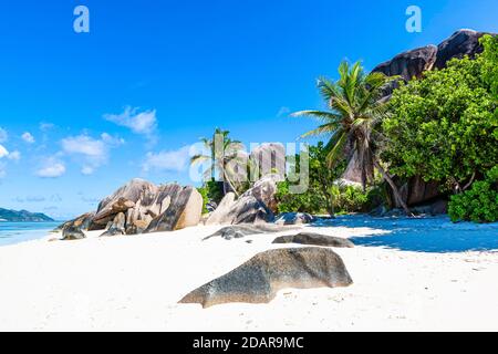 Kokospalmen (Cocos nucifera) und Felsen am Strand Source d'Argent, La Digue Island, Seychellen Stockfoto