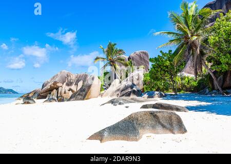 Kokospalmen (Cocos nucifera) und Felsen am Strand Source d'Argent, La Digue Island, Seychellen Stockfoto