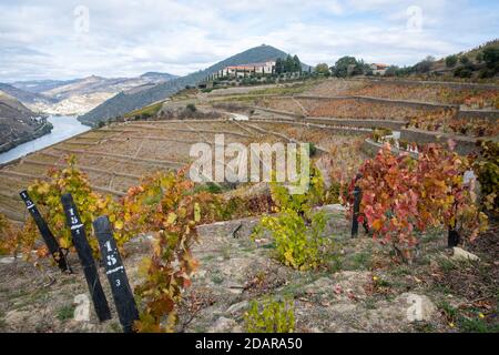 Pinhao, Portugal - Oktober 17: Blick auf Quinta do Seixo, in der Nähe von Pinhão, auf einer schönen Biegung des Rio Douro, ca. 25 km flussaufwärts von Peso Stockfoto